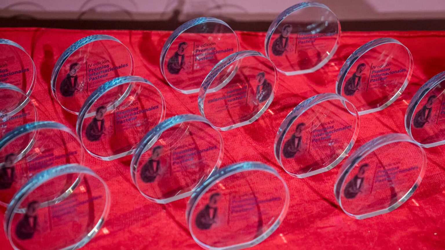 Fotografía de la gala de la IV Edición de los Premios Internacionales Pasteur