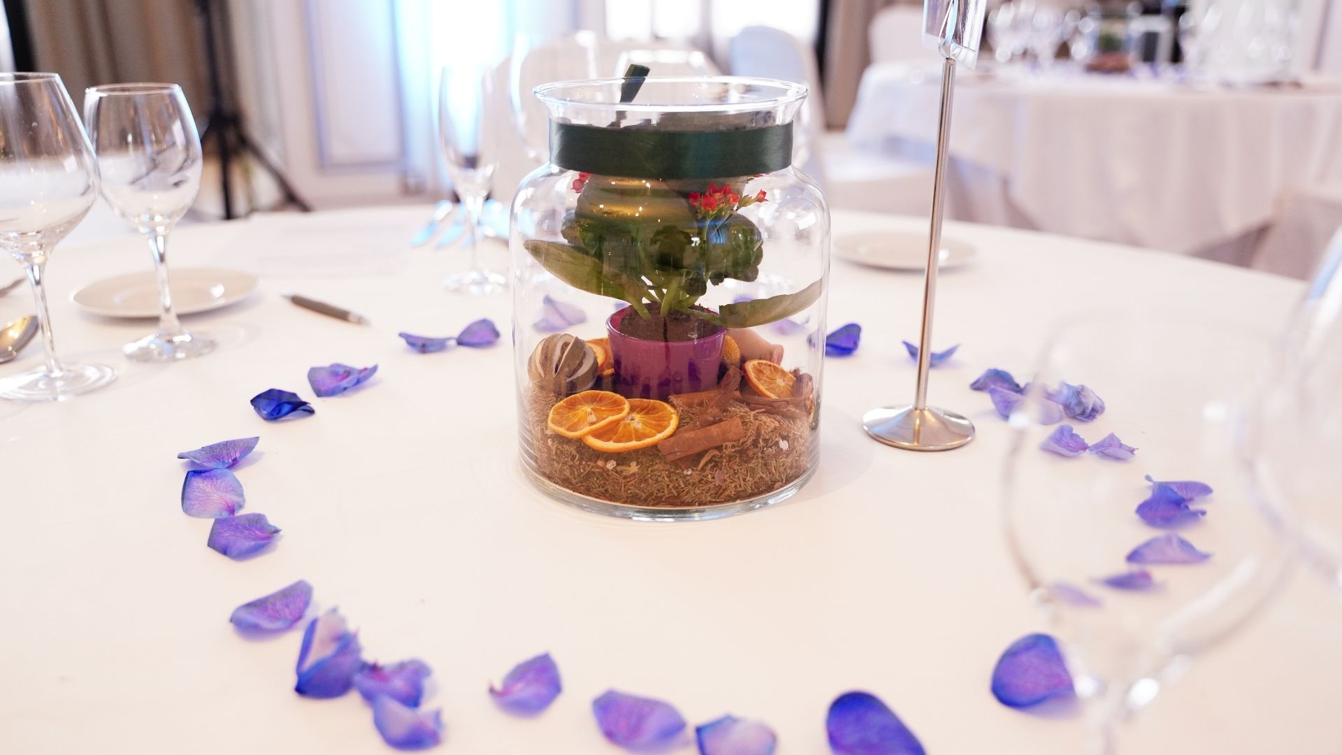 Fotografía de la gala del Premio Alfonso X el Sabio