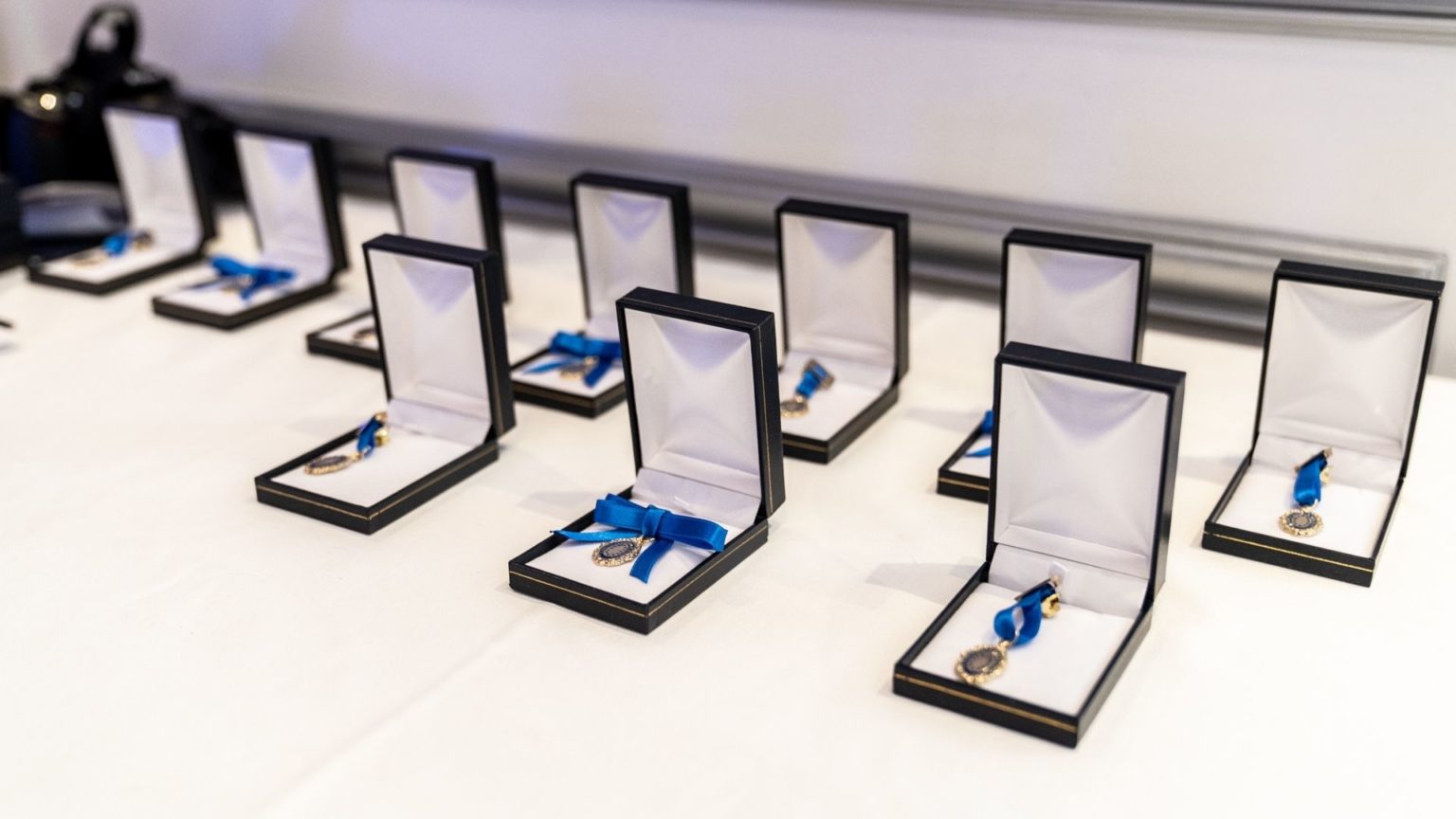 Fotografía de la gala de la Medalla Europea al Mérito en el Trabajo 2020